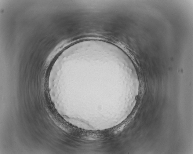 X0000087690151200706011728