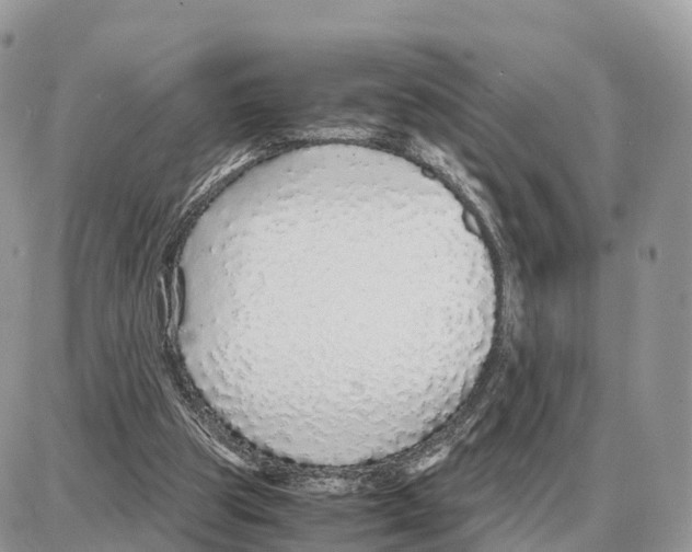 X0000087690153200706011728