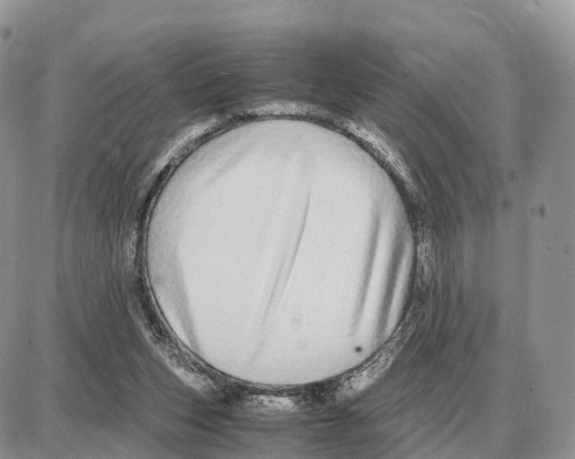 X0000087690159200706011728