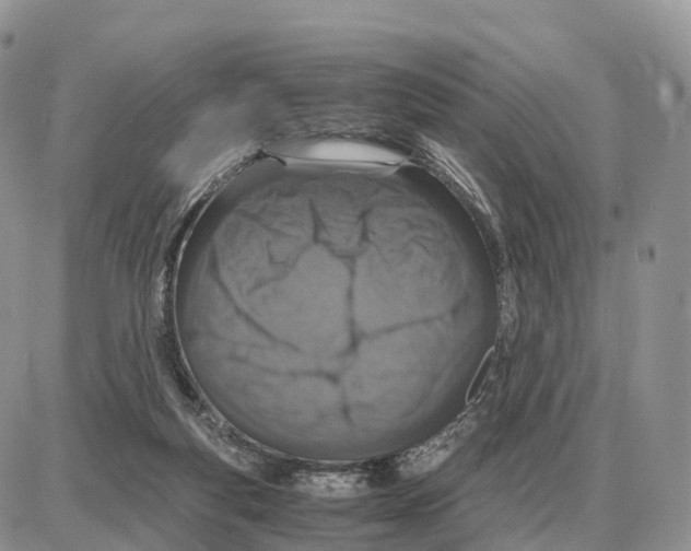 X0000087690163200706011728
