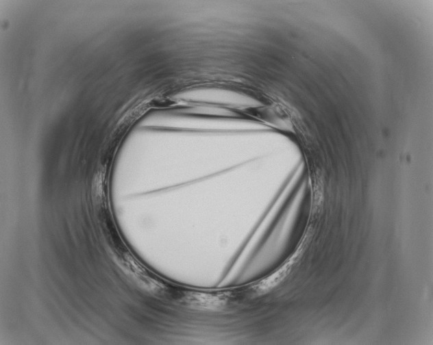 X0000087690166200706011728