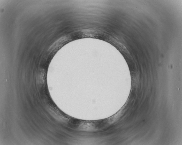 X0000087690174200706011728