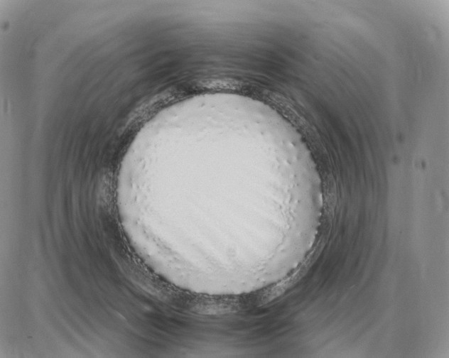 X0000087690175200706011728
