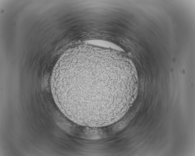 X0000087690185200706011728
