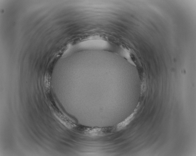 X0000087690186200706011728