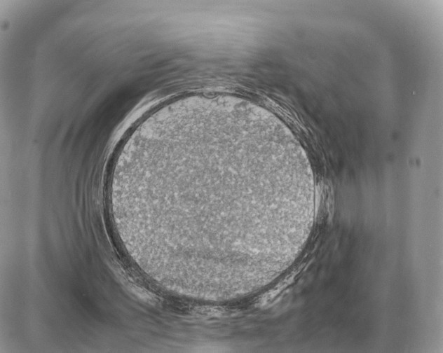 X0000087690195200706011728