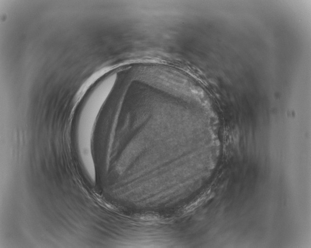 X0000087690200200706011727