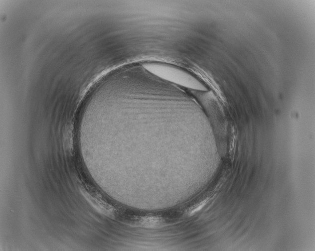 X0000087690204200706011727