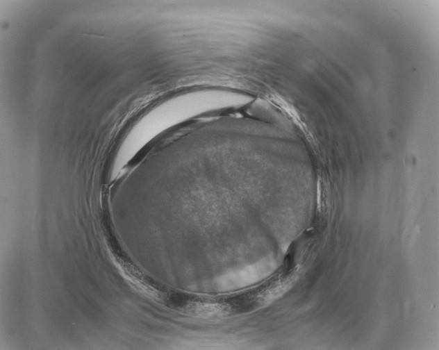 X0000087690205200706011727