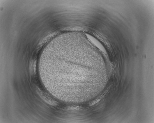 X0000087690206200706011727
