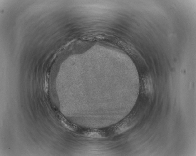 X0000087690224200706011727
