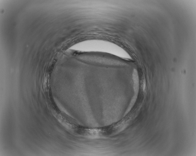 X0000087690233200706011727