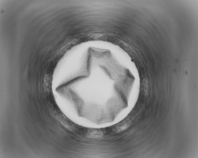 X0000087690234200706011727