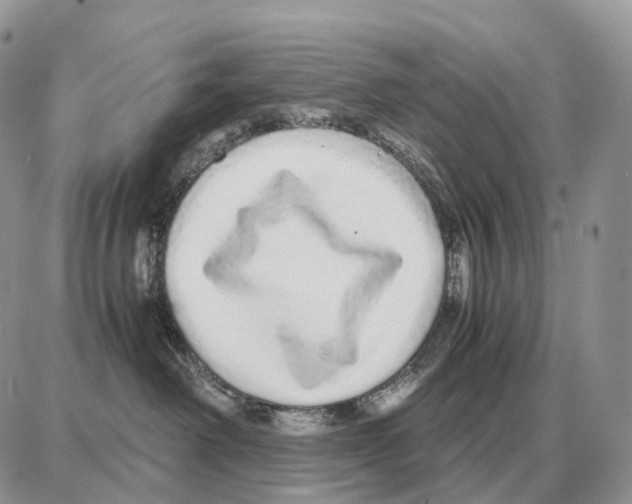 X0000087690238200706011727