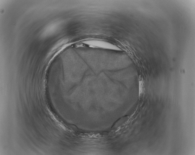 X0000087690243200706011726