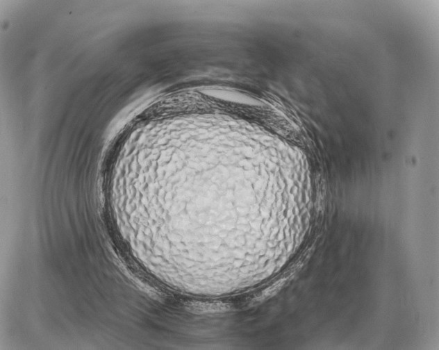 X0000087690245200706011726