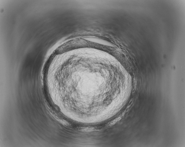X0000087690246200706011726