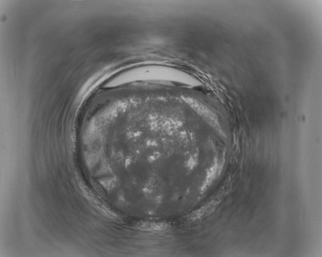 X0000087690247200706011726