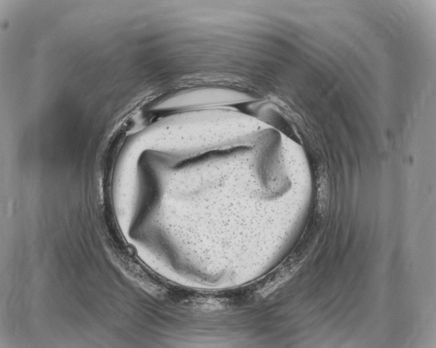 X0000087690254200706011726