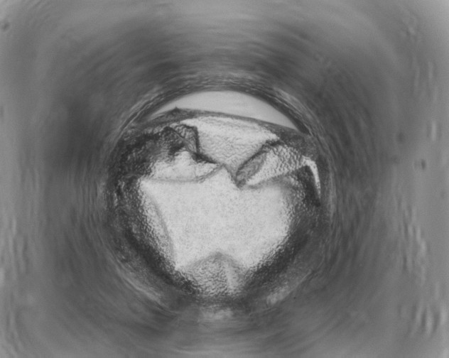 X0000087690258200706011726