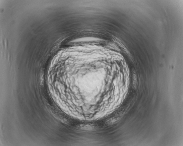 X0000087690259200706011726
