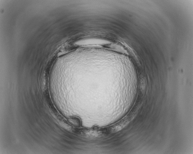 X0000087690261200706011726