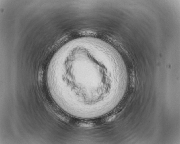 X0000087690263200706011726