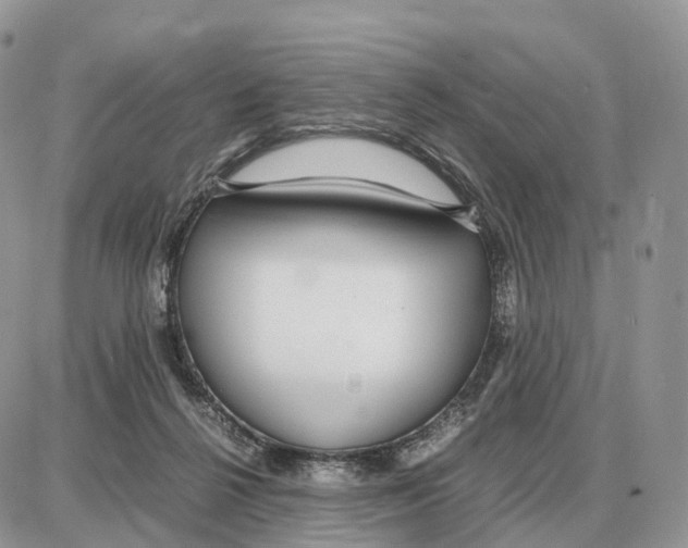 X0000087690264200706011726
