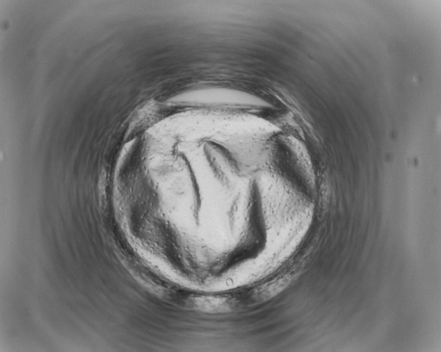 X0000087690265200706011726