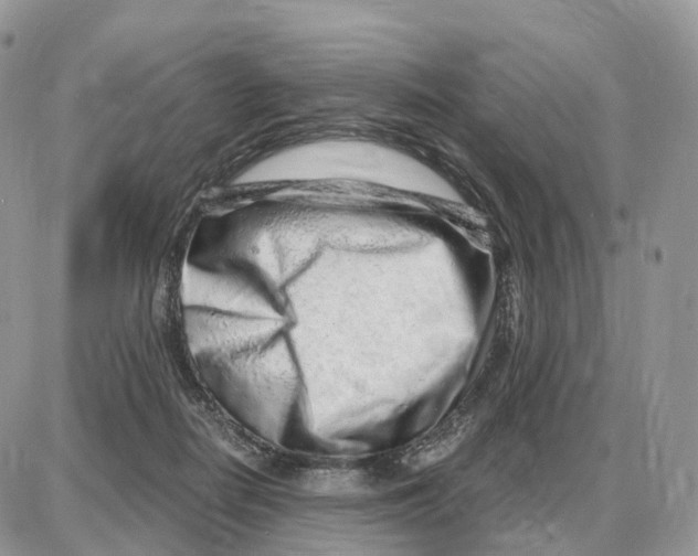 X0000087690266200706011726