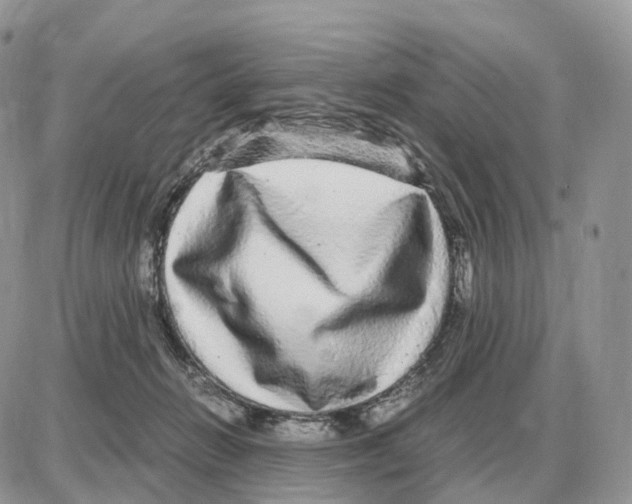 X0000087690270200706011726