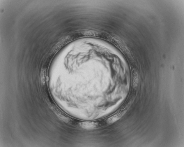 X0000087690273200706011727