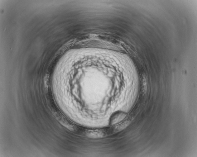 X0000087690275200706011727
