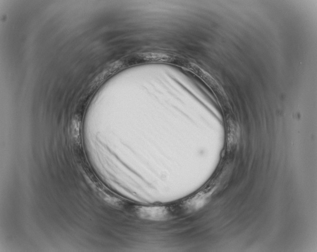 X0000087690281200706011727