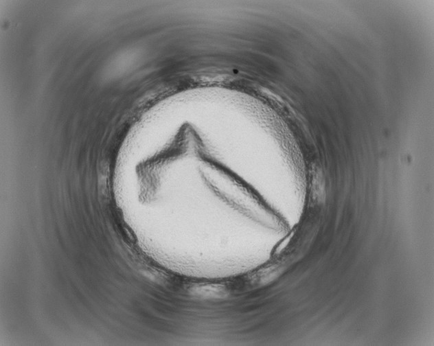 X0000087690283200706011727