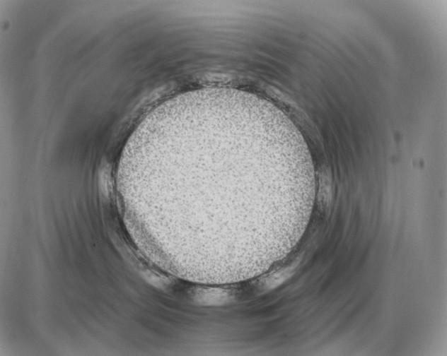 X0000087690287200706011727