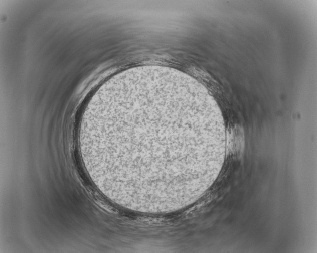 X0000087690291200706011726