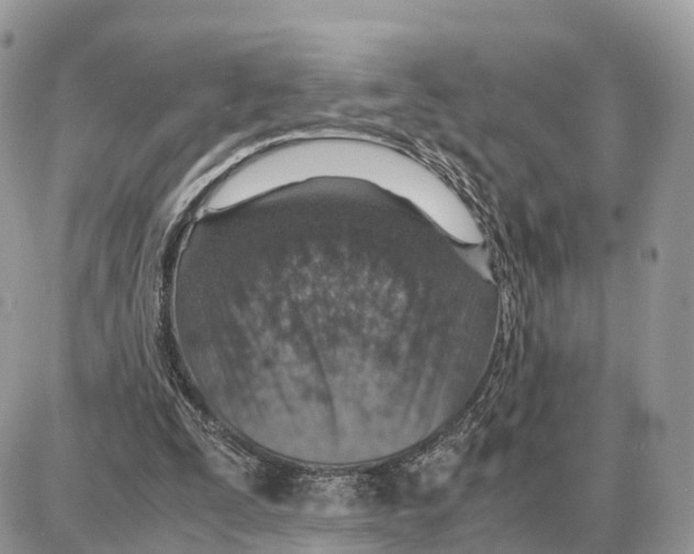X0000087690295200706011726