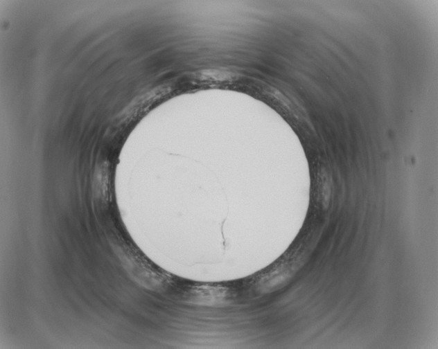 X0000087690328200706011725