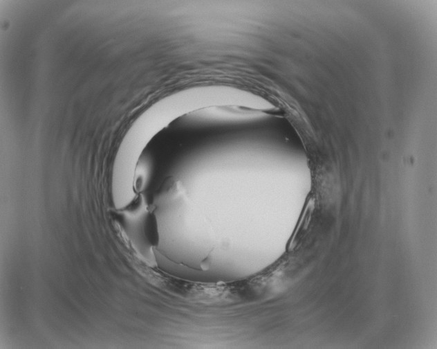 X0000087690329200706011725