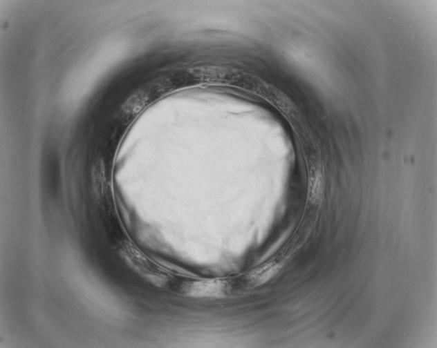 X0000087690335200706011725