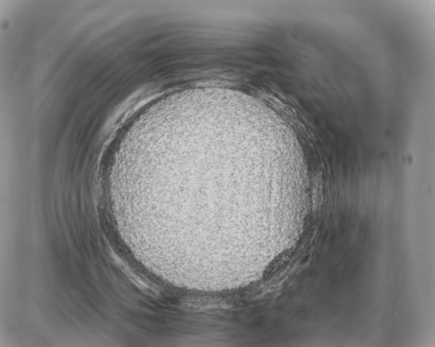 X0000087690339200706011724