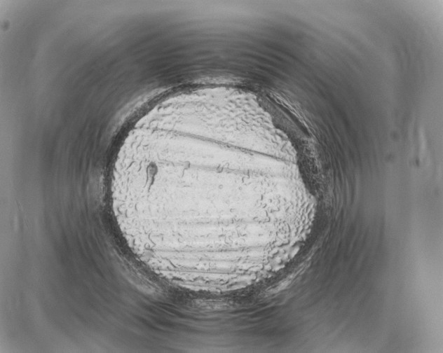 X0000087690351200706011725
