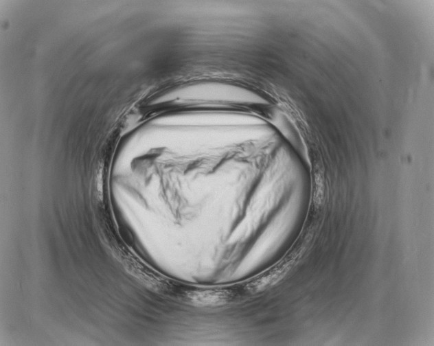 X0000087690358200706011725