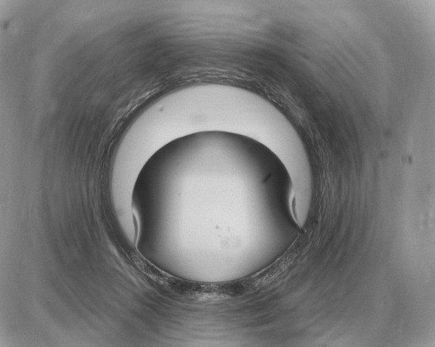 X0000087690360200706011725