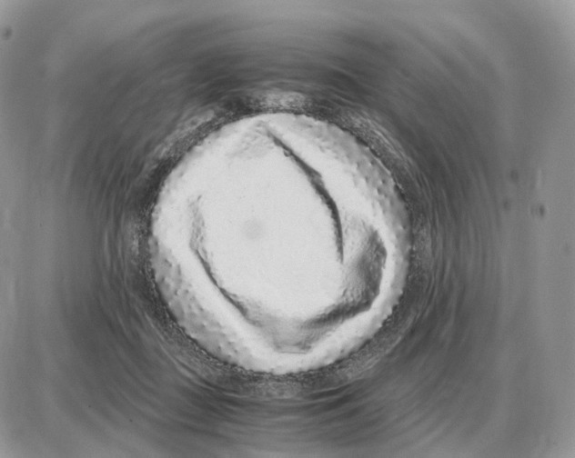 X0000087690363200706011725