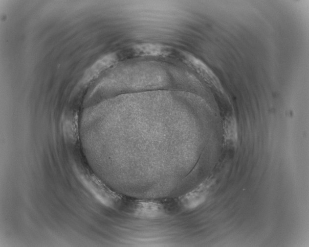 X0000087690376200706011725