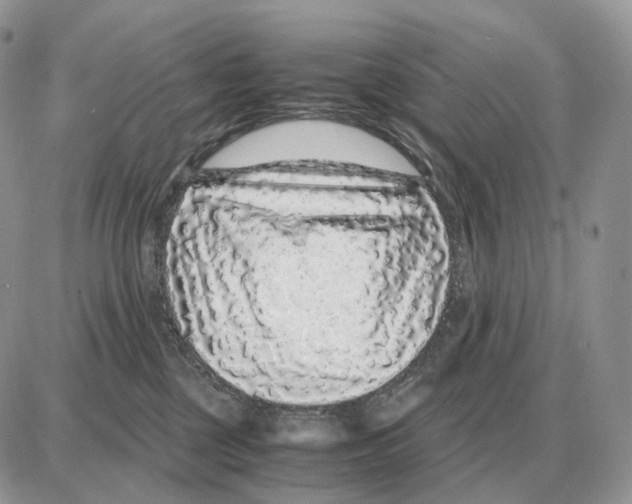 X0000087690377200706011725