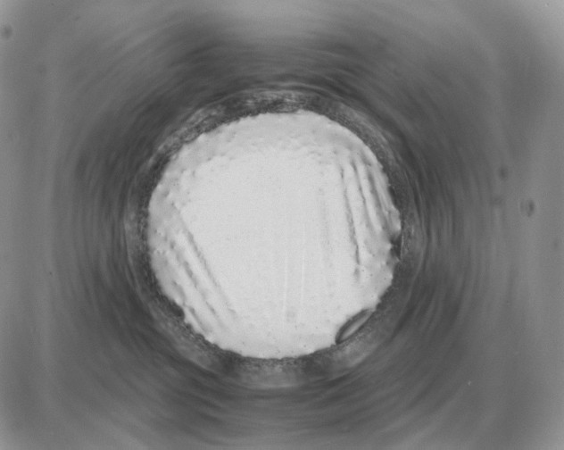 X0000087690381200706011725