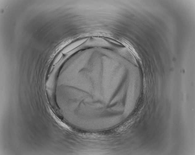 X0000087690389200706011724